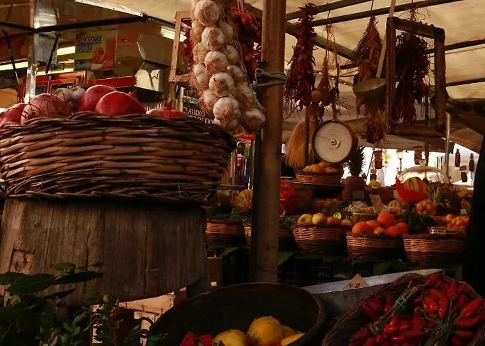 Campo24roma